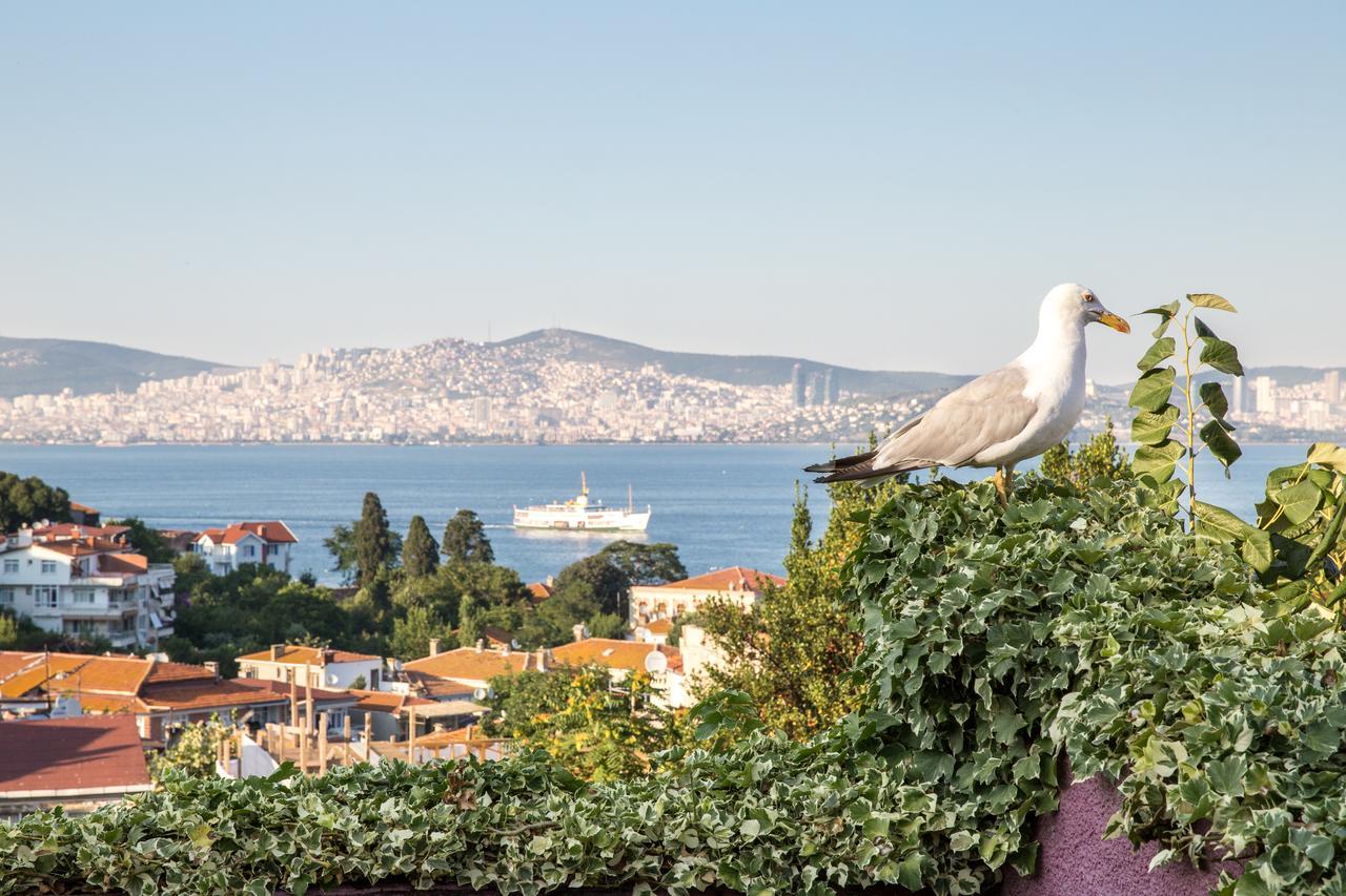 L'Isola Guesthouse (Adults Only) Heybeliada Bagian luar foto
